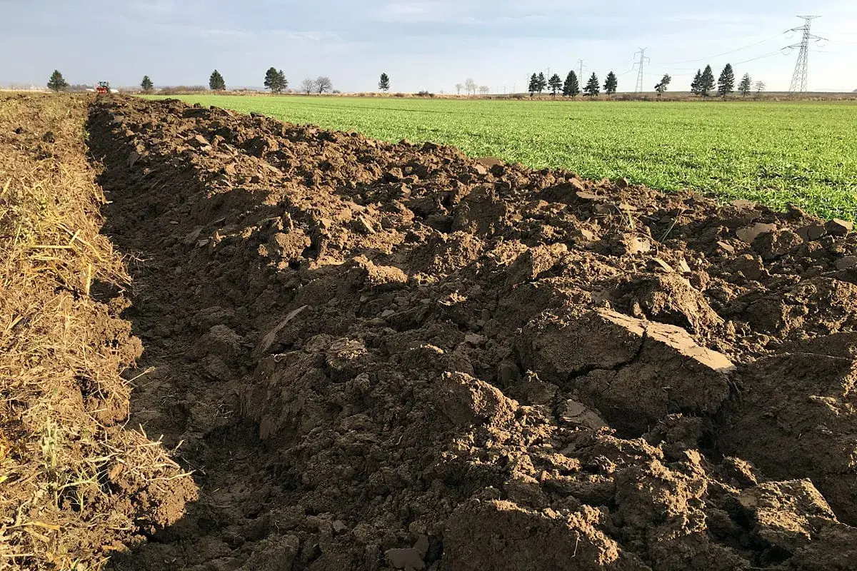 Orne, świeżo zaorane pole z widocznymi resztkami pożniwnymi i zielonymi oziminami w tle. Traktor w oddali.