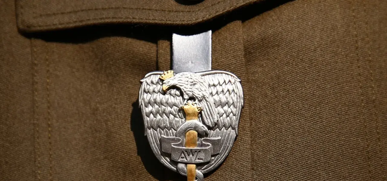 Orzeł wojskowy z koroną i mieczem, symbol najniższego stopnia oficerskiego, na brązowym mundurze.