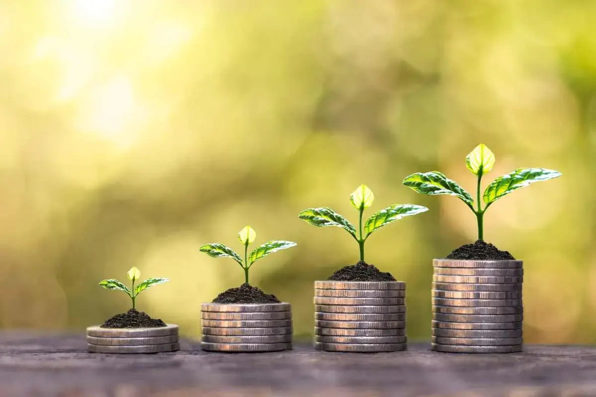 Piante che crescono su pile di monete, simboleggiando la crescita degli investimenti e quanto si paga di contributi al mese.
