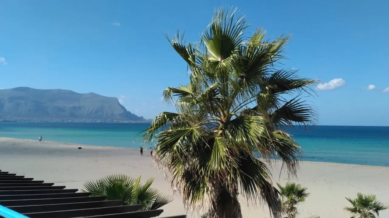 Sycylia, październik. Pogoda idealna na spacer po plaży z palmami w tle i błękitnym morzem.