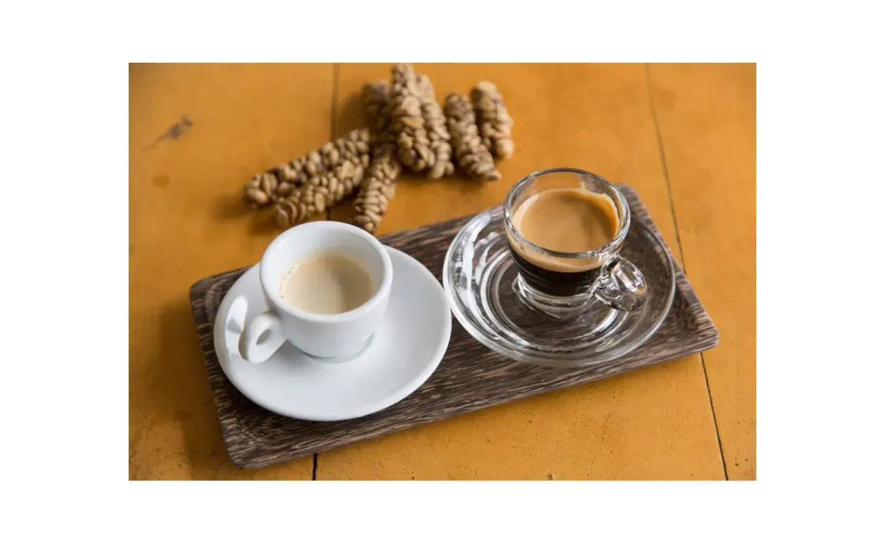 Dwie filiżanki kawy, jedna biała, druga szklana, obok garść ziaren kawy. To kawa z odchodów nietoperza, znana jako Kopi Luwak.