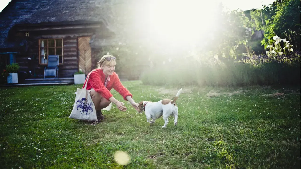 Frau übt mit ihrem Hund Hunde Kommandos im Garten. Sonnenschein und ein gemütliches Haus im Hintergrund.