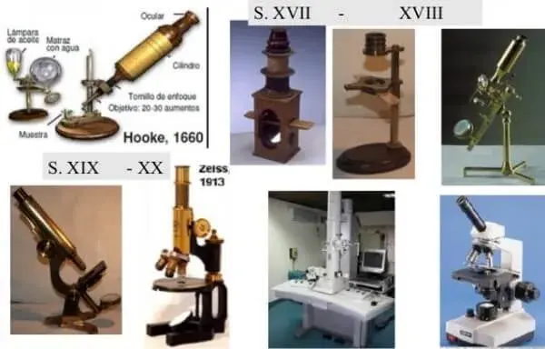 En que año se invento el microscopio y quién fue su creador