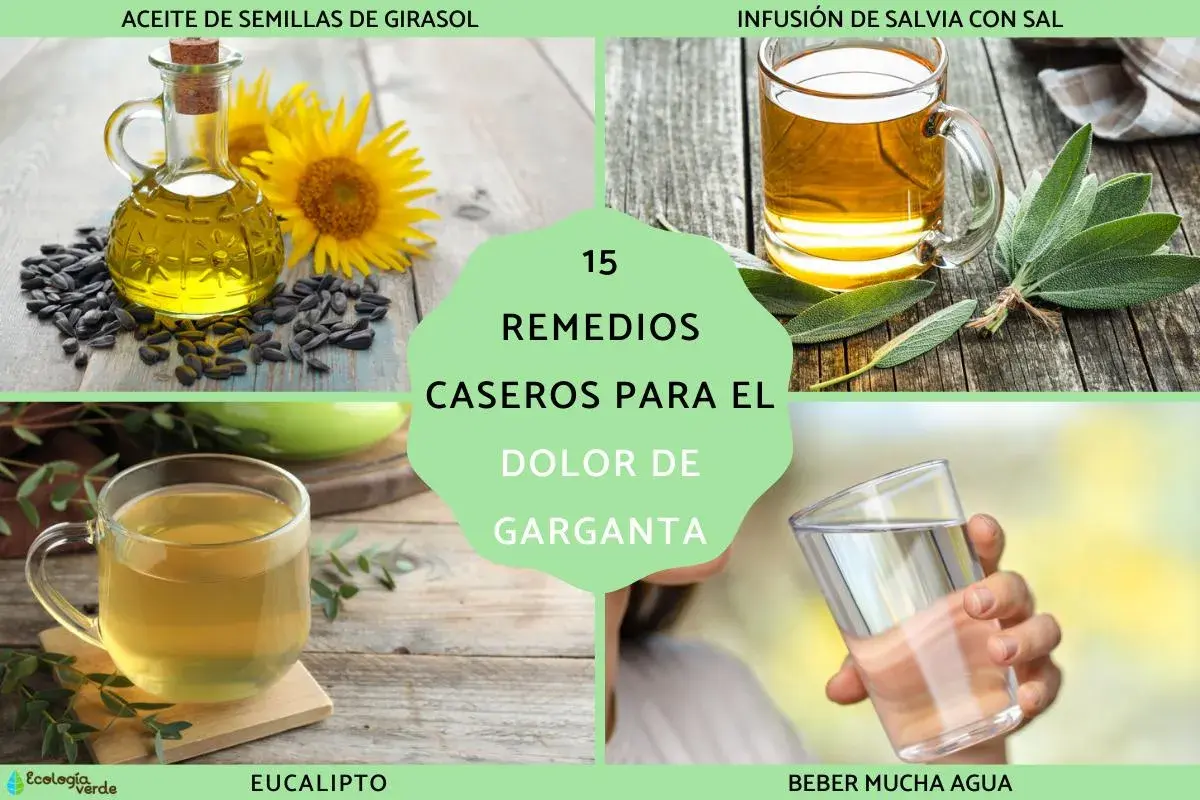 Aceite de girasol, infusión de salvia, eucalipto y agua son algunos remedios caseros para el dolor de garganta.