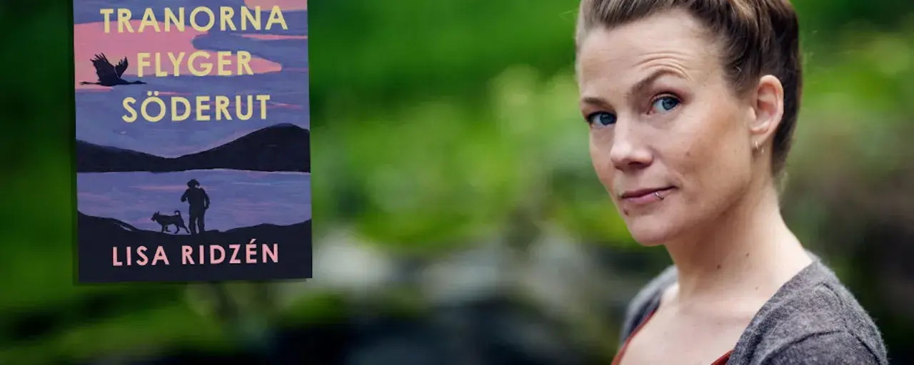 Bokomslag för "Tranorna flyger söderut" av Lisa Ridzén, med en kvinna i förgrunden.