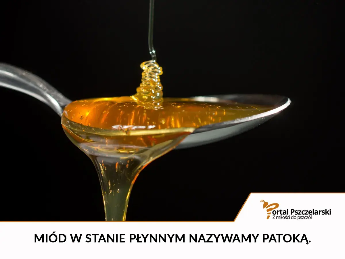 Płynny, złocisty, nieskrystalizowany miód naturalny spływa z łyżeczki. To patoka, słodki dar natury.