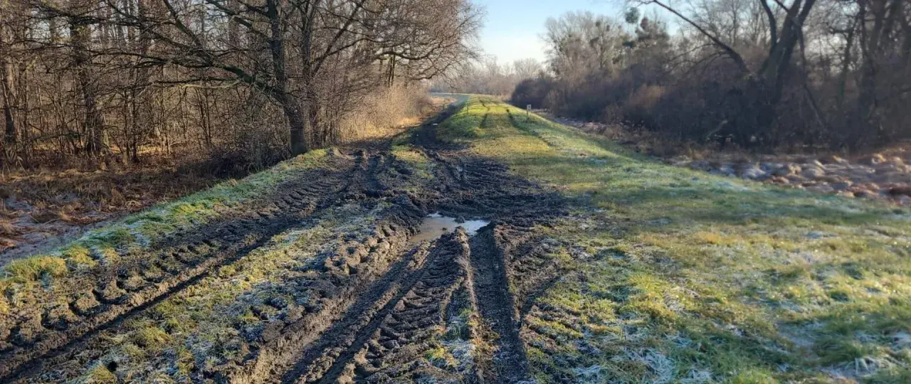 Błotnista ścieżka na wał przeciwpowodziowy, z widocznymi śladami opon i kałużami. Po lewej stronie las, po prawej trawa z pierwszym szronem.