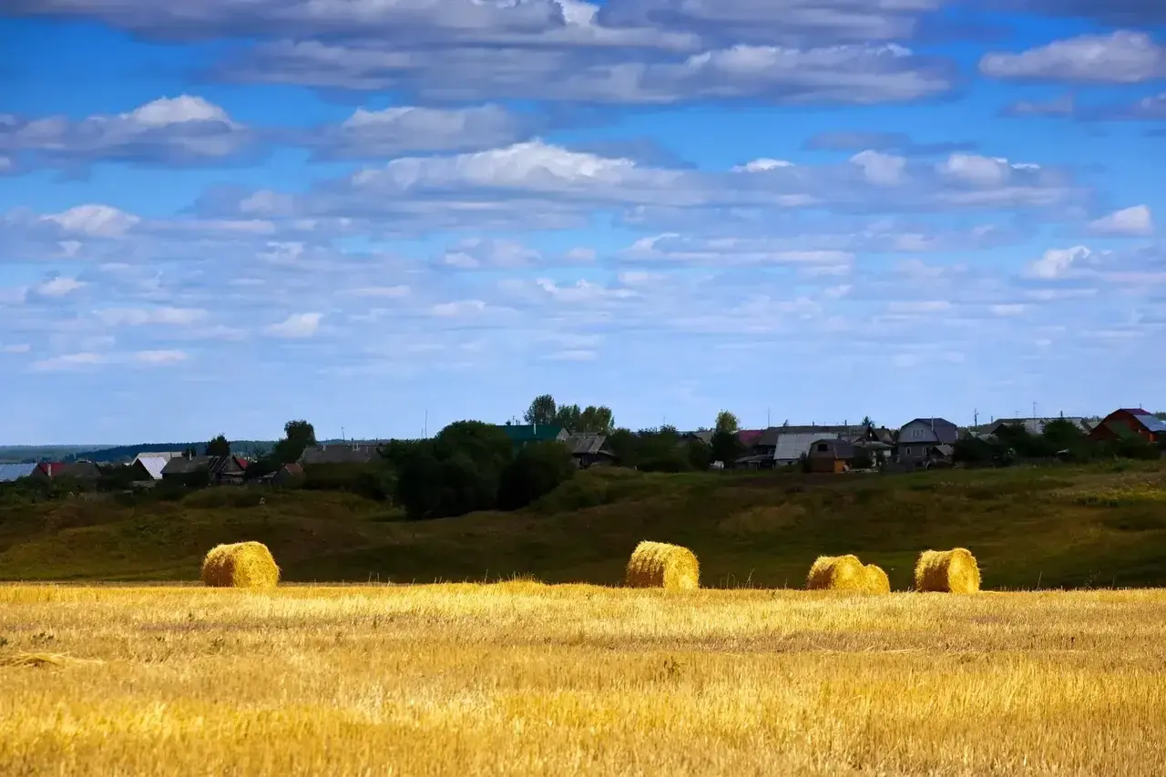 Agroturystyka czy to dobry biznes? Odkryj ukryte zyski i wyzwania