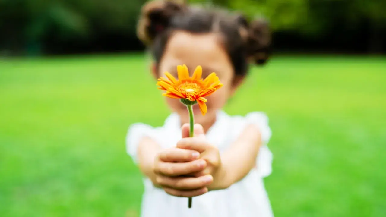 Ein Kind reicht eine orange Blume. Das Gegenteil von Habgier ist Großzügigkeit.