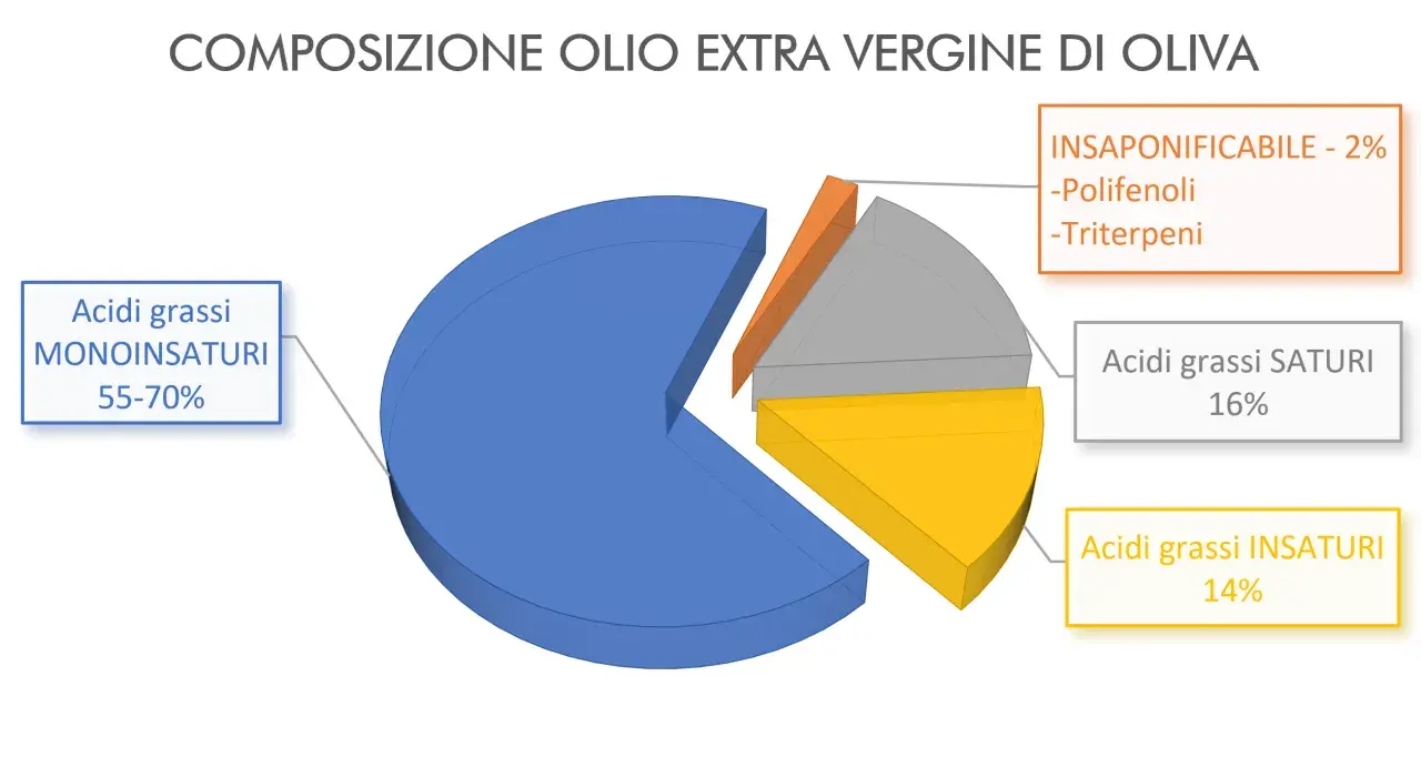 Grafico a torta sulla composizione dell'olio EVO: 55-70% acidi grassi monoinsaturi, 16% saturi, 14% insaturi. L'insaponificabile (2%) include polifenoli, rendendo l'olio più ricco di polifenoli.