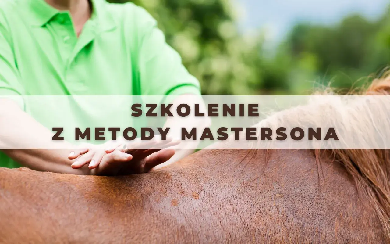 Szkolenie z metody Mastersona – delikatne dotyki dla zdrowia konia.
