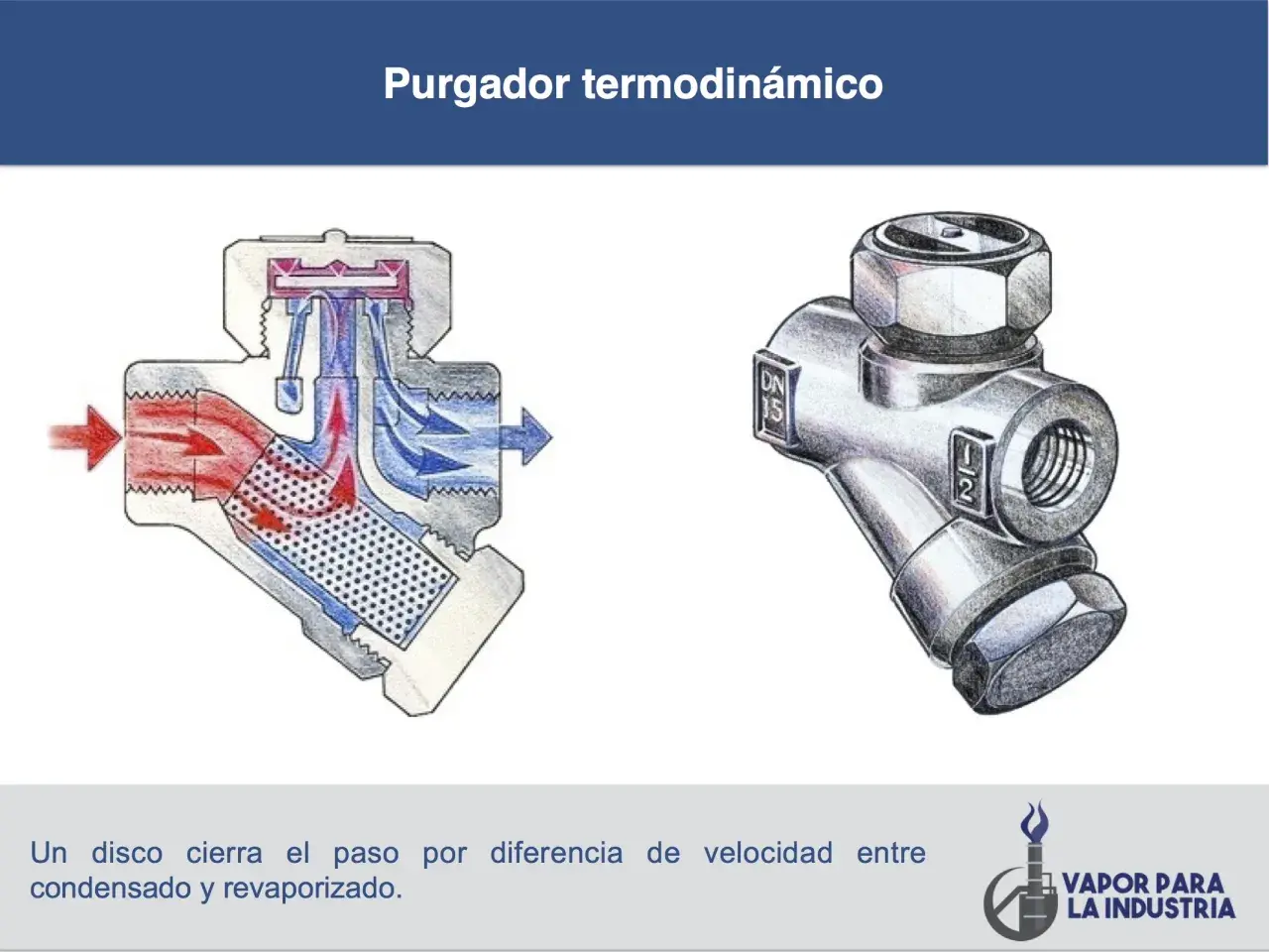 Diagrama de un purgador de condensados termodinámico, mostrando su funcionamiento interno y una vista externa.