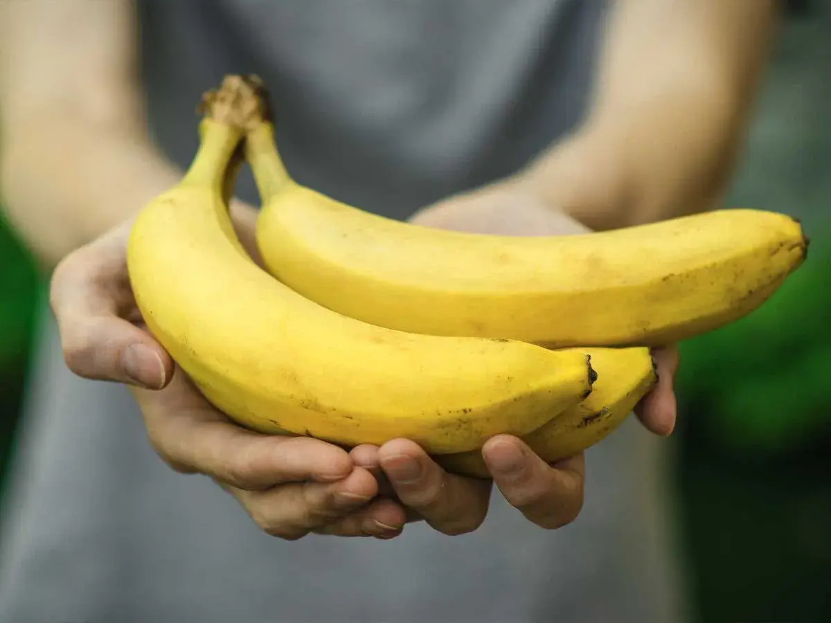 Mani che offrono due banane mature. Forse il detto "2 banane al giorno fanno male" è solo un mito?