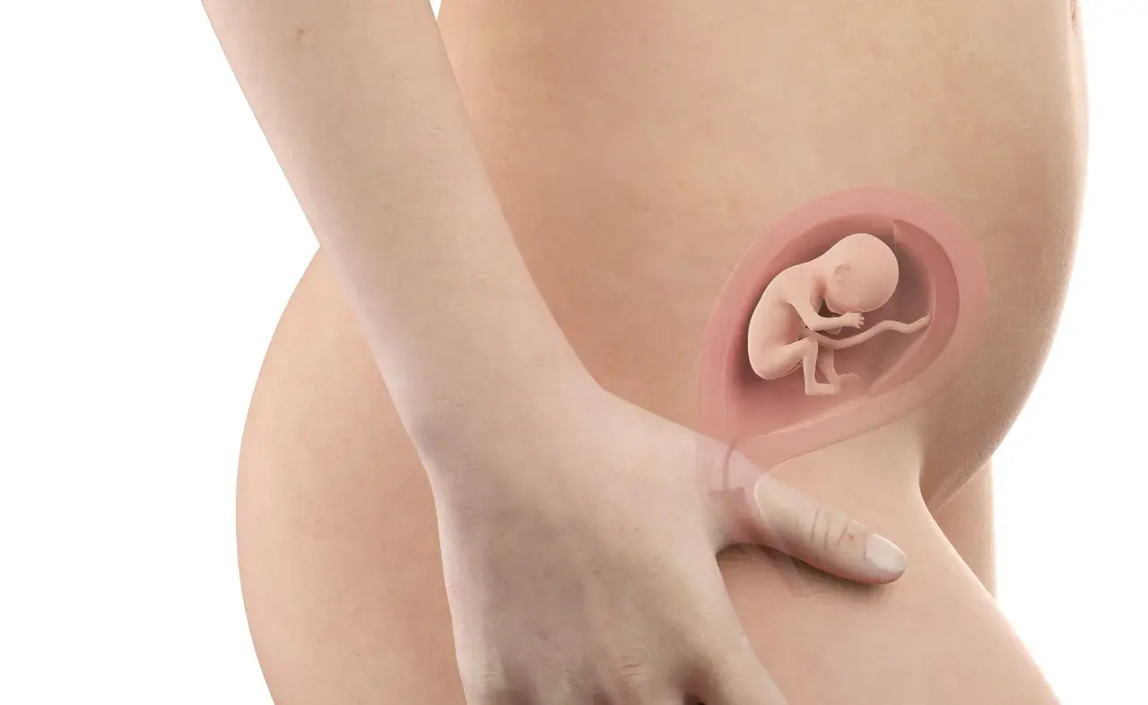 Feto di 18 settimane in utero, un momento di crescita rapida dove i rischi alla 18 settimana di gravidanza sono minimi.