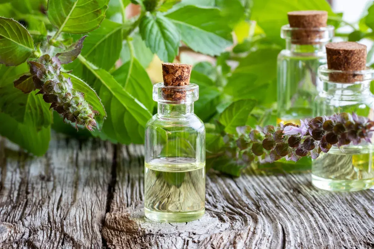 Piccole boccette di olio essenziale di basilico santo su un tavolo di legno, circondate da foglie verdi e fiori viola.
