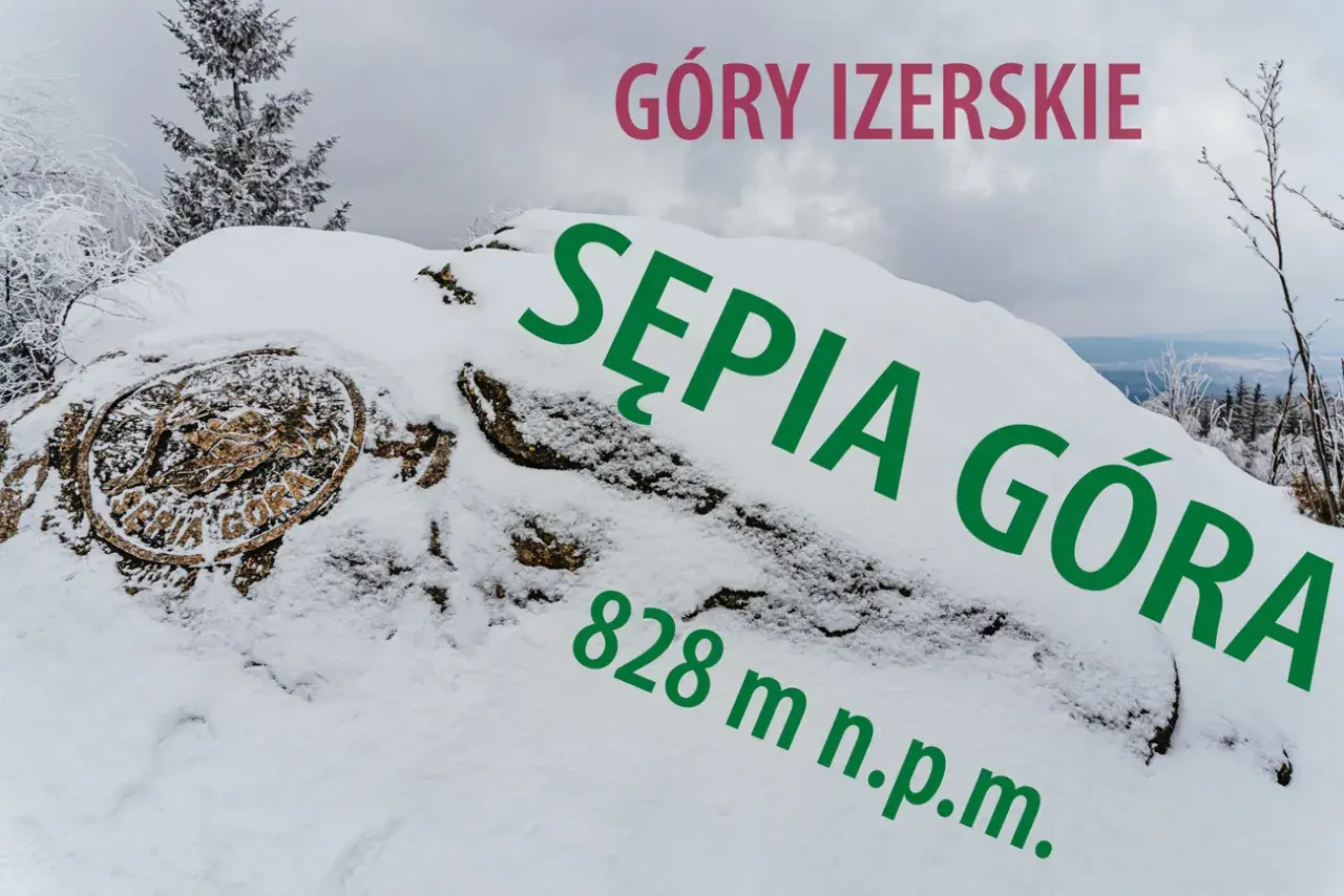 Pokryta śniegiem Sępia Góra w Górach Izerskich, z widocznym znakiem szczytu i wysokością 828 m n.p.m.