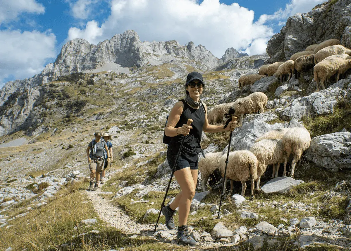 Wanderer auf den Peaks of the Balkans auf eigene Faust, vorbei an einer Schafherde auf steilem Bergpfad.