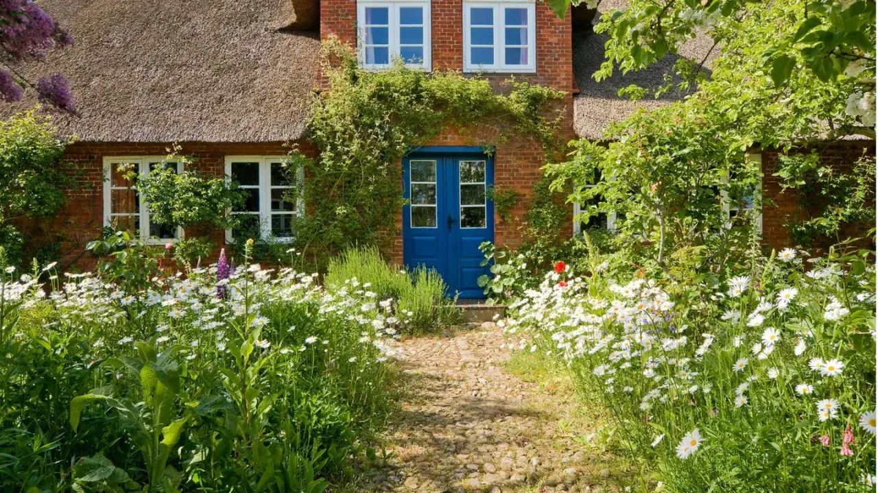 Ein Weg aus Kieselsteinen führt zu einem roten Backsteinhaus mit Reetdach und blauer Tür. Üppige Blumenbeete mit Margeriten und grünen Pflanzen inspirieren zu **vorgarten ideen**.
