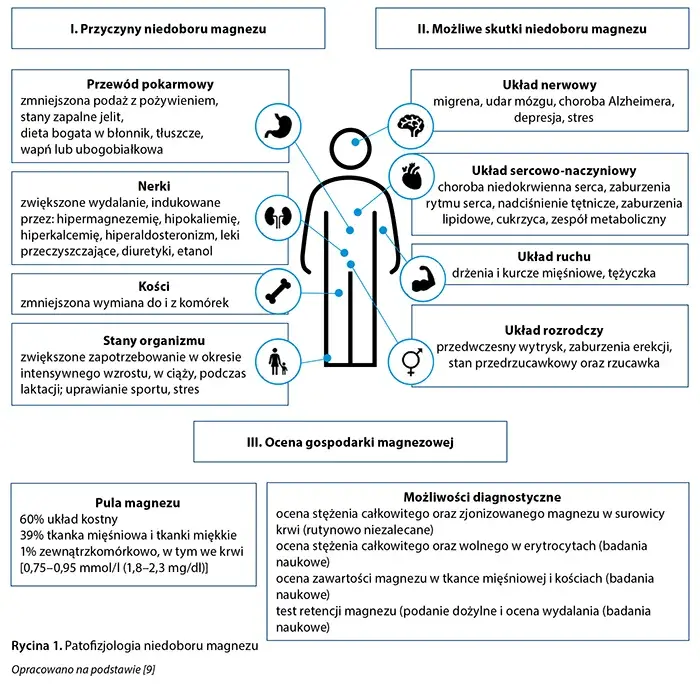 Magnez: Pierwiastek spokoju. Jak niedobór wpływa na psychikę?