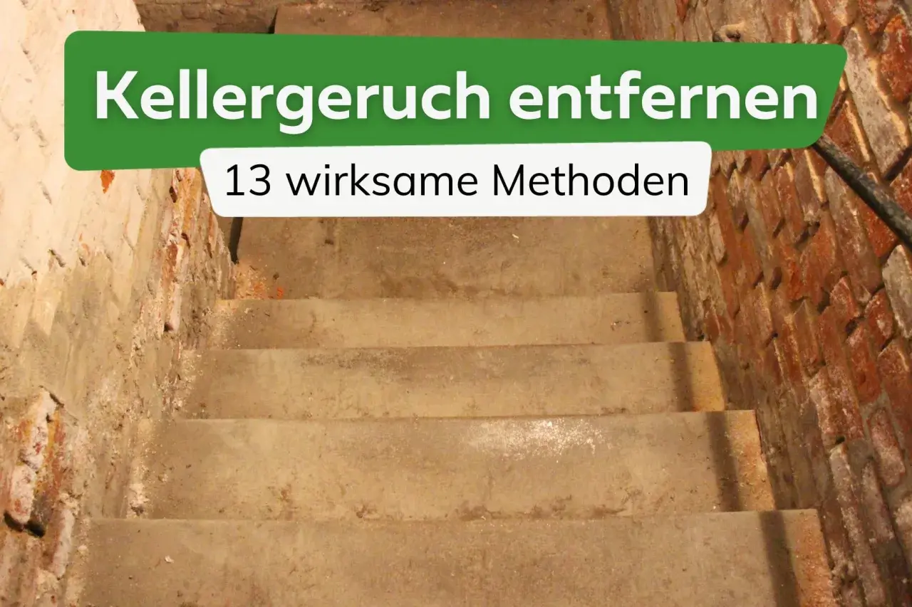 Treppe in einen alten Keller mit Ziegelwänden. Text: "Kellergeruch entfernen - 13 wirksame Methoden". So wird man den Geruch im Keller neutralisieren.