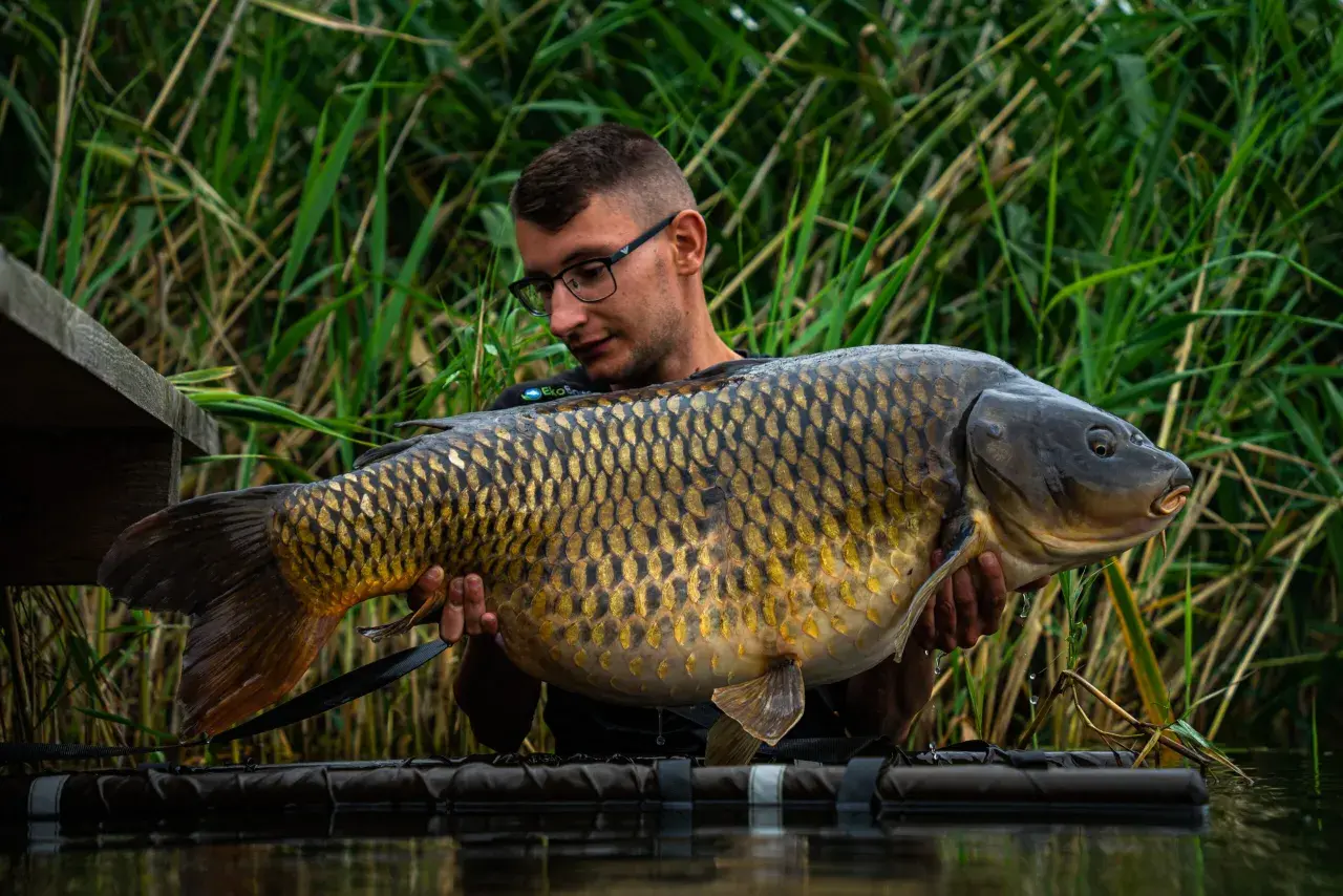 Wędkarz z Radymna prezentuje okazałego karpia złowionego na łowisku Extra Carp.