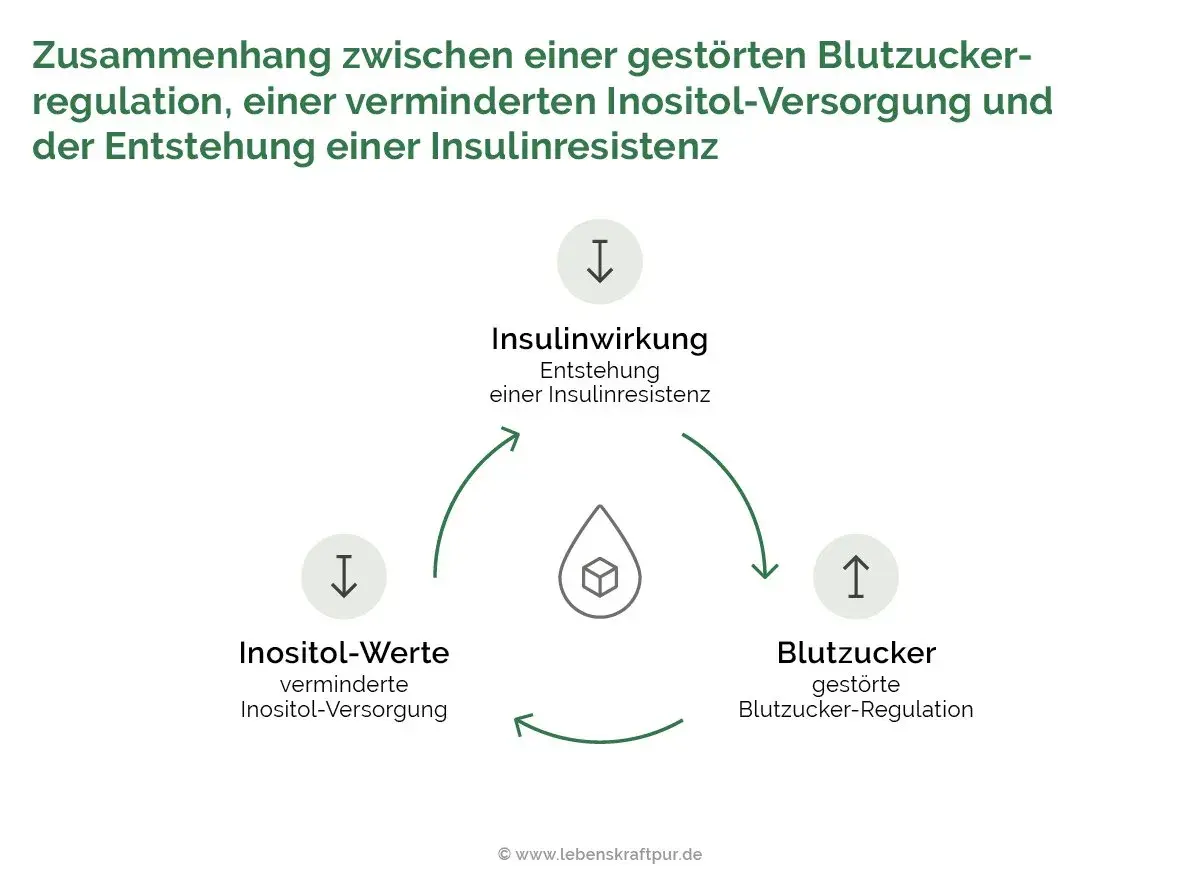 Diagramm zeigt den Kreislauf: verminderte Inositol-Werte beeinflussen die Insulinwirkung und Blutzuckerregulation, was zu Insulinresistenz führt. Die inositol wirkung ist hier zentral.