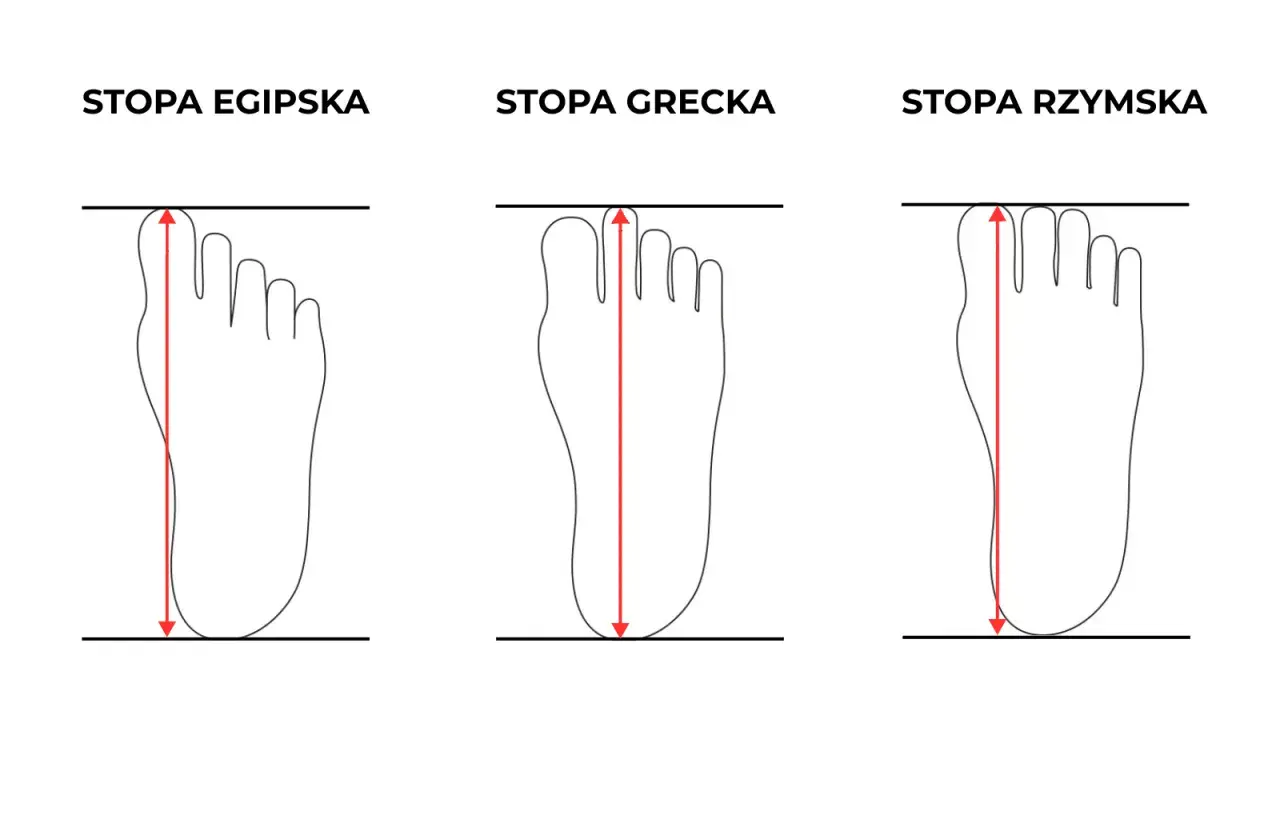 Trzy typy stóp: egipska, grecka i rzymska. Stopa rzymska ma wszystkie palce równej długości.