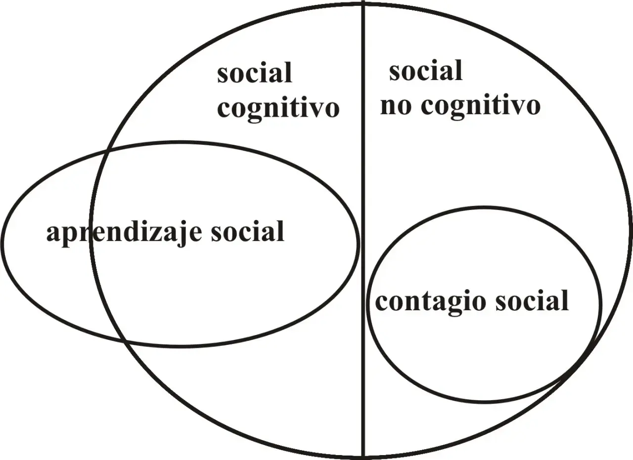 Diagrama de Venn que ilustra el aprendizaje social, dividiendo los conceptos en "social cognitivo" y "social no cognitivo", con "contagio social" como subcategoría.