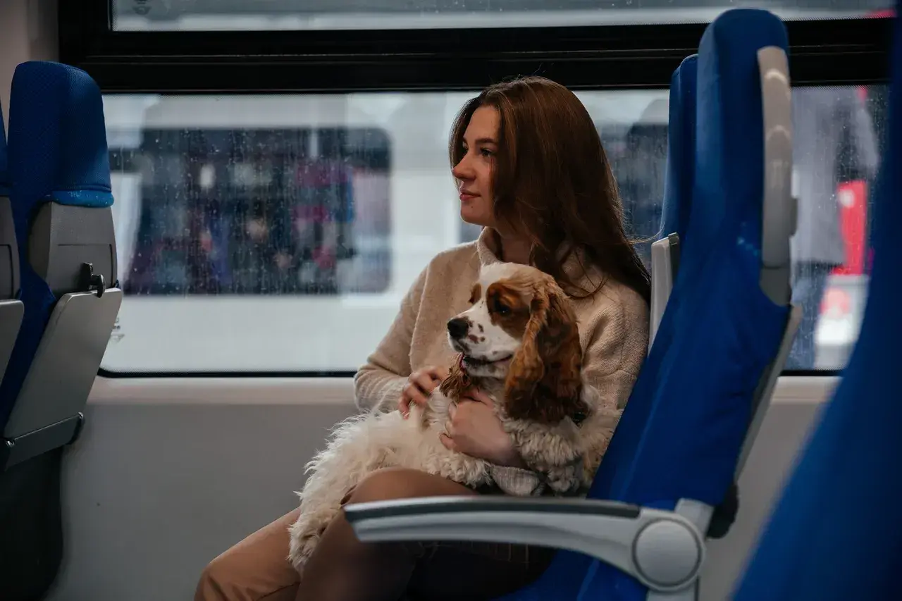 Dziewczyna z psem na kolanach w pociągu PKP. Mają ważny bilet dla psa.
