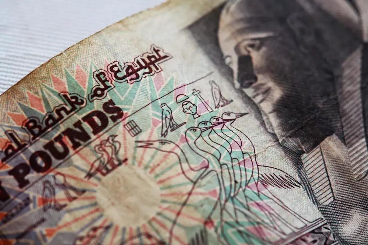 Fragment banknotu z napisem "National Bank of Egypt POUNDS" i wizerunkiem faraona.