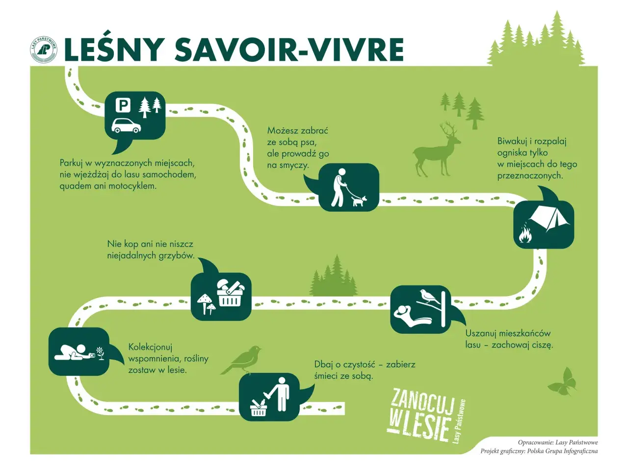 Poradnik "Leśny savoir-vivre" pokazuje zasady zachowania w lesie, w tym jak przygotować się na nocowanie w lesie.