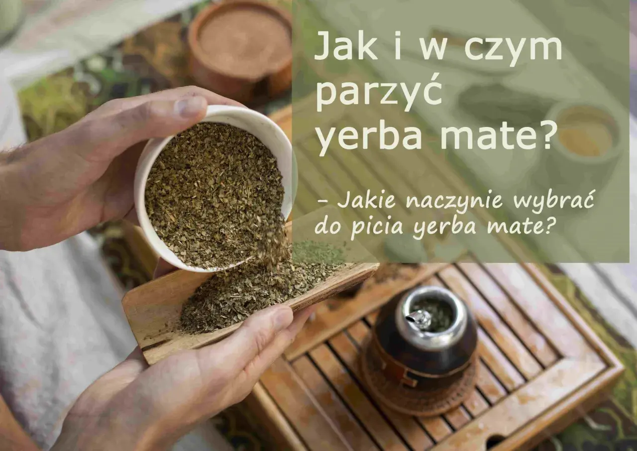 Wsypywanie suszu yerba mate, zioła leczniczego, do naczynia. Obok stoi już przygotowana tykwa z bombillą.