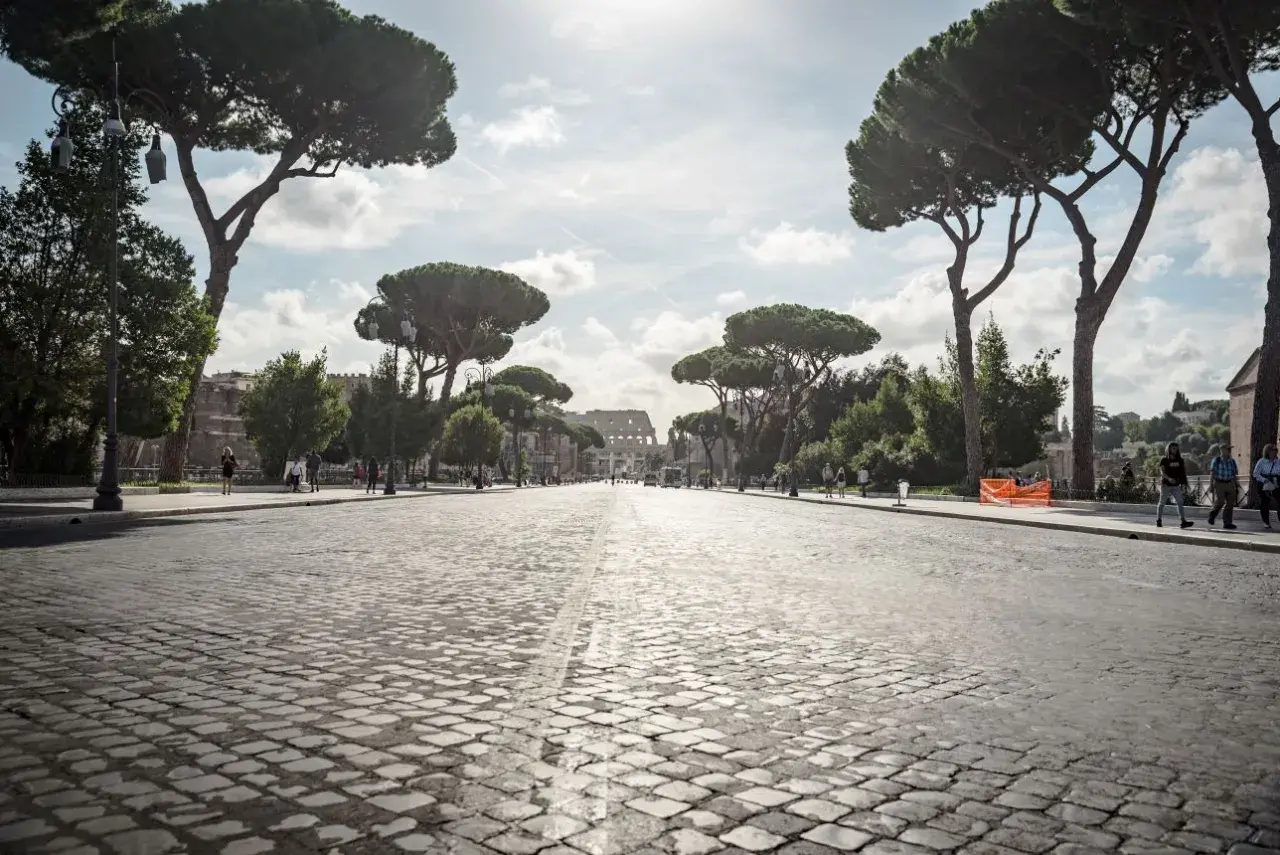 Strada acciottolata verso il Colosseo, un'icona per chi ama il roma viaggiare. Pini marittimi maestosi incorniciano la vista.