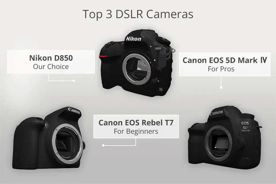Wybór lustrzanki Canon w 2026: Czy ma sens? Modele i obiektywy.