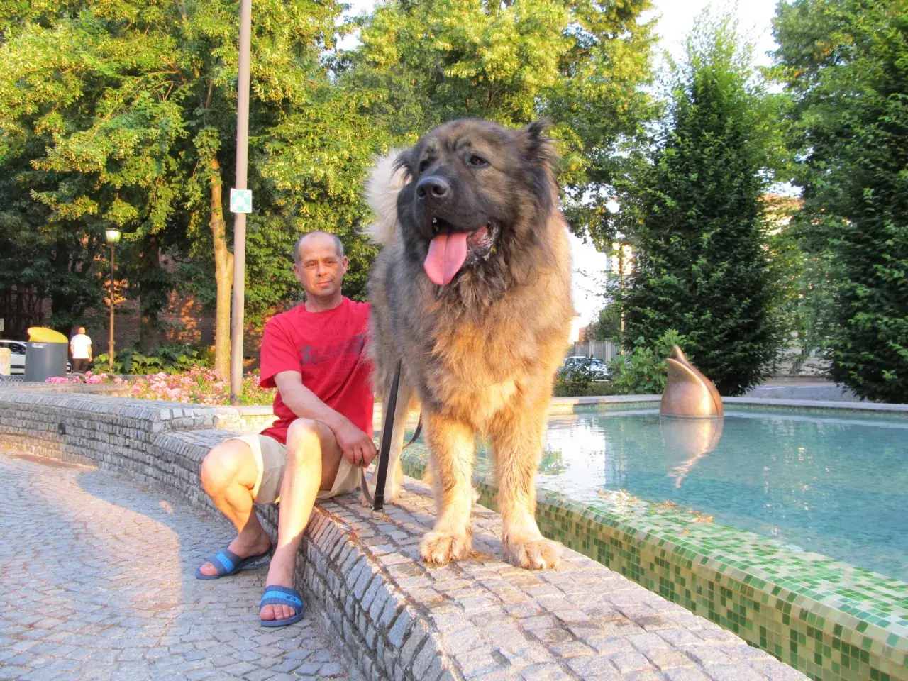 Un hombre sentado junto a una fuente con su imponente pastor del Cáucaso, un perro majestuoso y peludo.