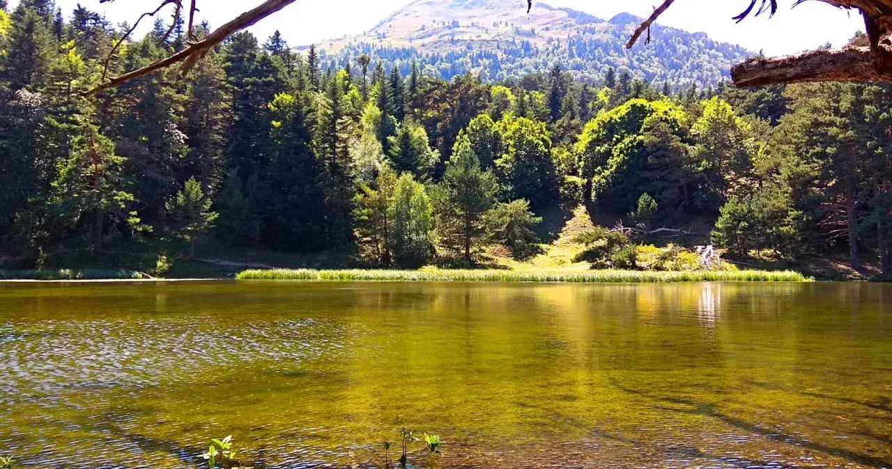 Tranquila bassa d'Oles rodeada de pinos y montañas. El agua refleja el verde intenso del bosque y el cielo azul.