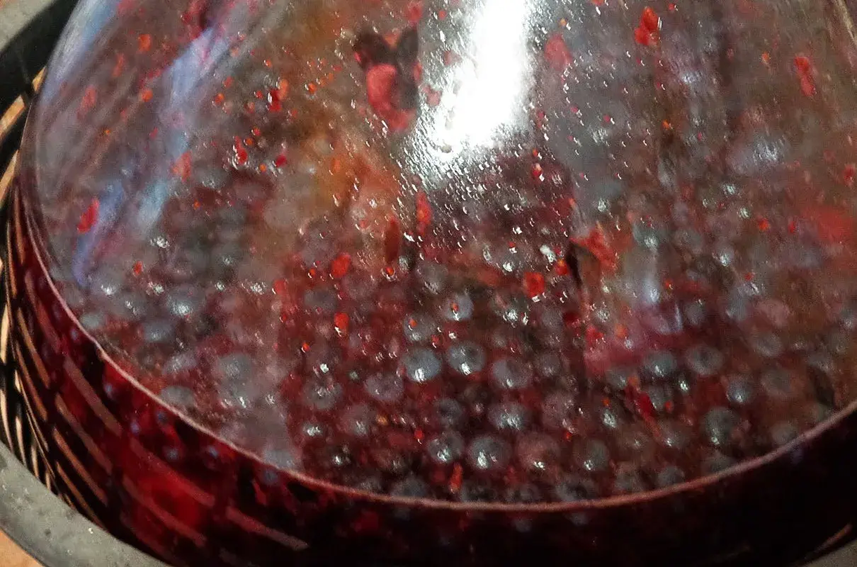 Fermentujący wino wieloowocowe przepis. Widoczne owoce i bąbelki w szkle.