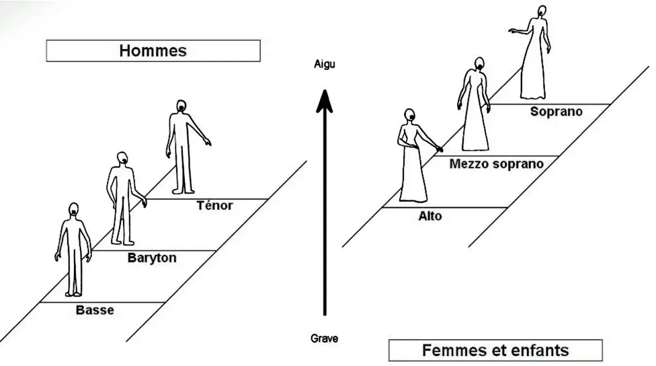 Schéma des tessitures vocales pour la polyphonie musique : hommes (basse, baryton, ténor) et femmes/enfants (alto, mezzo soprano, soprano), du grave à l'aigu.