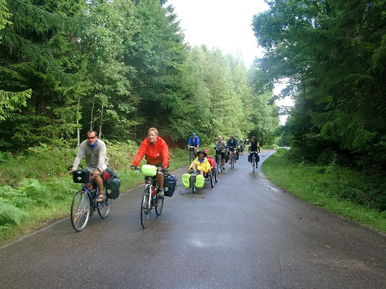 Grupa rowerzystów na malowniczej trasie w Sierakowicach, jadących przez las.