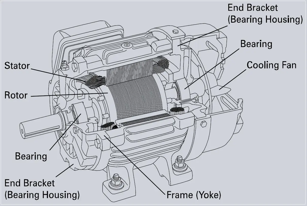 Cutaway view of an electric motor, showing the stator, rotor, bearings, cooling fan, and end brackets.