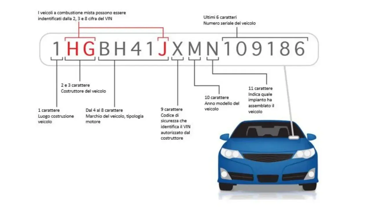 Schema per ricavare codice OEM da telaio (VIN). Ogni cifra del numero di telaio fornisce informazioni sul veicolo.