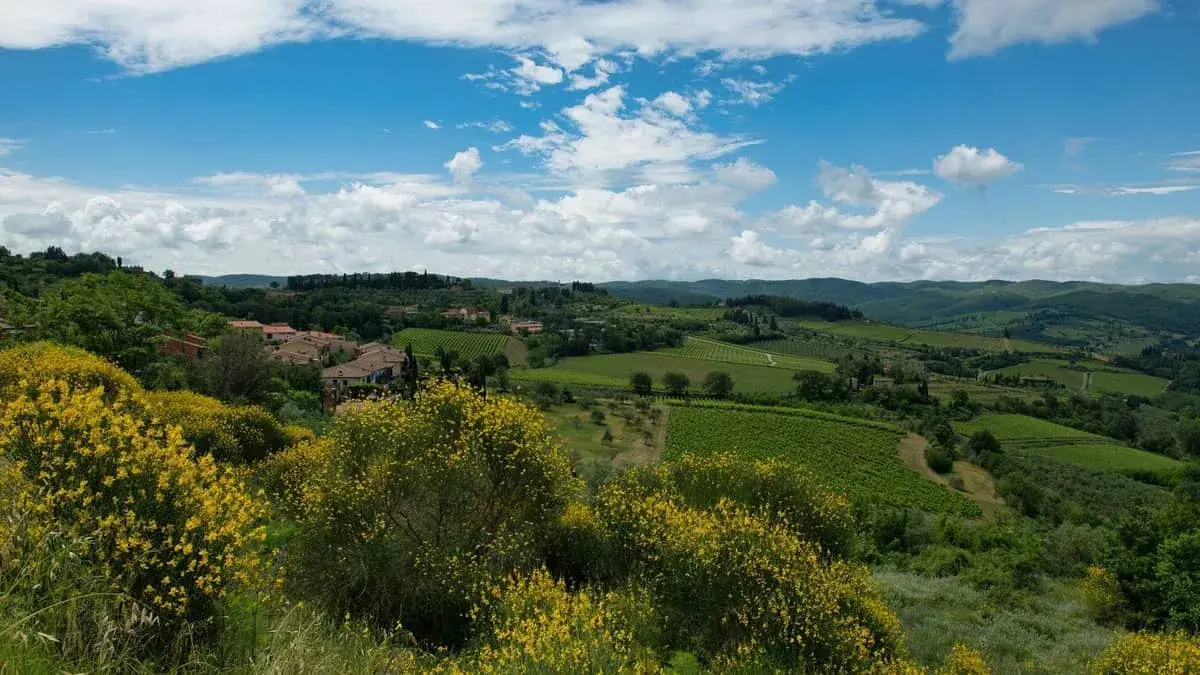Colline toscane fiorite di giallo, vigneti e casali lungo la route des vins chianti. Cielo azzurro con nuvole bianche.