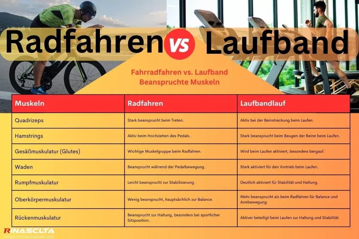 Vergleich: Radfahren vs. Laufband. Tabelle zeigt, was ist besser Laufband oder Fahrrad für welche Muskeln.