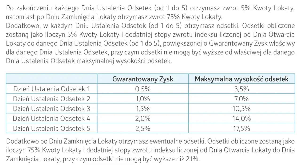 Lokata inwestycyjna: Hybryda zysku i ryzyka. Czy warto inwestować?