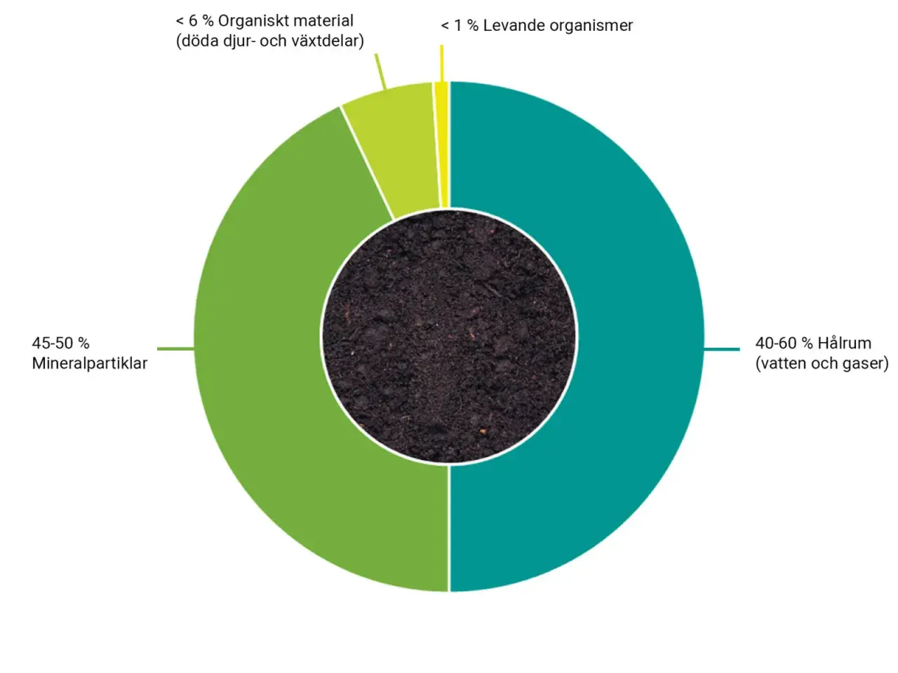 Diagram som visar olika jordlager: 45-50% mineralpartiklar, 40-60% hålrum (vatten och gaser), <6% organiskt material och <1% levande organismer.