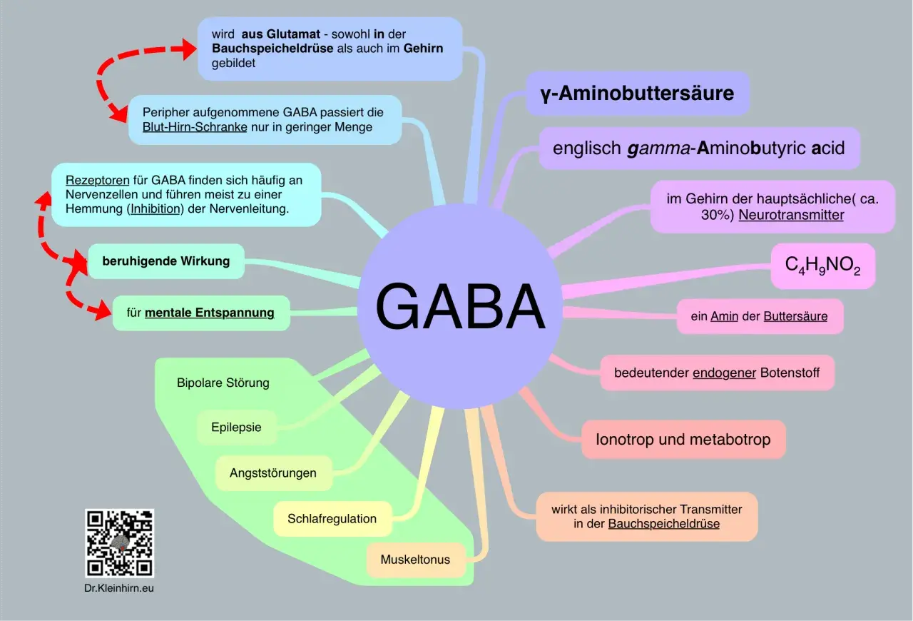 GABA, ein Neurotransmitter, fördert mentale Entspannung und beruhigt. Es ist wichtig für Schlafregulation und Muskeltonus.