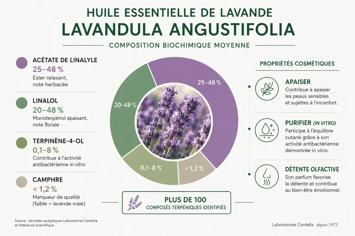Infographie sur l'huile essentielle de lavande, détaillant sa composition et ses bienfaits : apaisant, purifiant et relaxant.