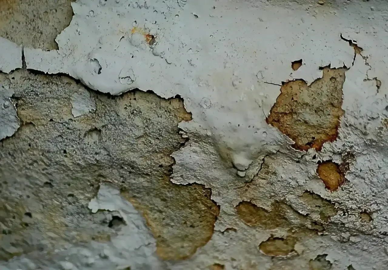 Dettaglio di un muro con intonaco scrostato che rivela macchie scure, indicativo della necessità di un trattamento muffa muri.