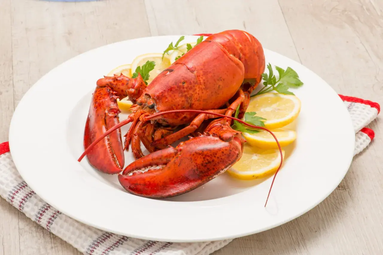 Homard rouge vif, prêt pour la cuisson, servi sur une assiette blanche avec des quartiers de citron et du persil.