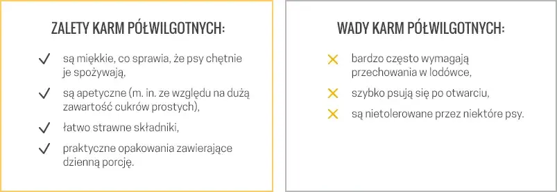 Sucha czy mokra karma dla psa? Porównanie, wady i zalety.